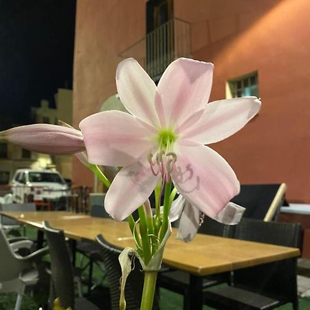 Restaurant & Rooms Cabrit Sant Mateu Dış mekan fotoğraf