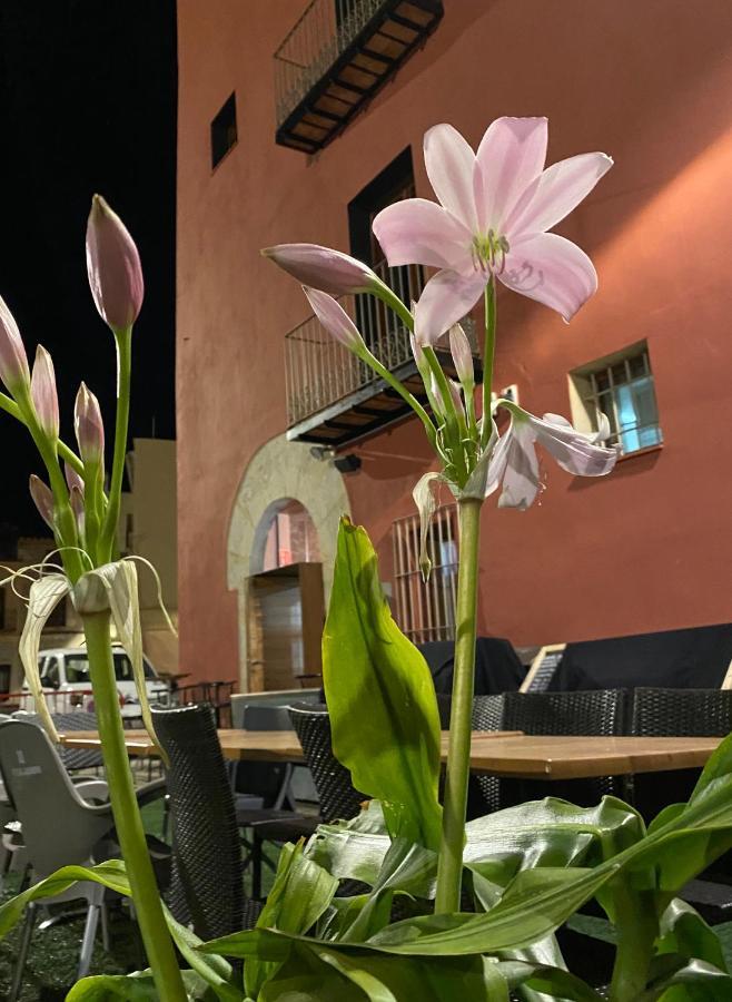 Restaurant & Rooms Cabrit Sant Mateu Dış mekan fotoğraf