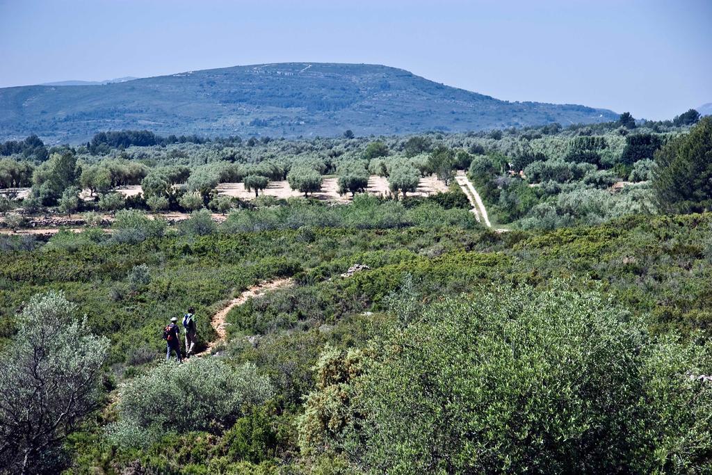Restaurant & Rooms Cabrit Sant Mateu Dış mekan fotoğraf
